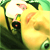 :iconfluxsolstice: