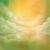 :iconfly-again: