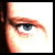 :iconfly-kestrel: