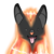 :iconfly-wolf: