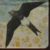 :iconfly4high: