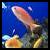 :iconflyfarfaraway: