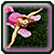 :iconflygirlpml: