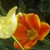 :iconflyhappyaway2: