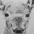 :iconflyhighlikepaper: