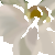 :iconflyindreams: