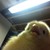 :iconflying-awayx: