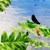 :iconflying-change:
