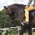 :iconflying-changes: