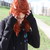 :iconflying-hjort: