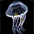 :iconflying-jellyfish: