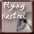 :iconflying-kestrel: