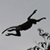 :iconflying-monkey: