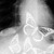 :iconflying-neko: