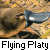 :iconflying-platy: