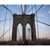 :iconflying-pooh: