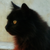 :iconflying-pumpkin:
