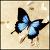 :iconflying-twinkie: