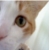 :iconflyingbedpan: