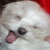 :iconflyingblindly: