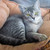 :iconflyingdreamer553: