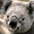:iconflyinghighaboveall: