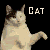 :iconflyingkats: