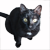 :iconflyingkitty67: