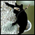 :iconflyingninjasquirrelz: