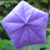 :iconflyingotter: