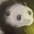 :iconflyingpandasofdoom: