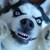 :iconflyingtoiletofdoom: