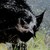 Flyinkit :iconflyinkit: