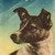 :iconflylaika: