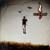 :iconflyleaf-fans: