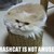 :iconflyleaf010: