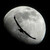 :iconflymetothatmoon: