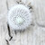 :iconflytanna: