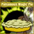 :iconfma89: