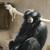 :iconfocusonlife:
