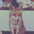 :iconfocuspocas: