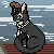 :iconfogast-rumiel: