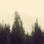 :iconfoggy-destiny: