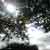:iconfoggy1318: