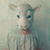 :iconfogspirit: