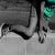 :iconfoguete: