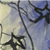:iconfoh-toh: