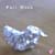 :iconfoil-duck: