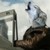 :iconfokkerwulf: