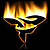 :iconfokuspace: